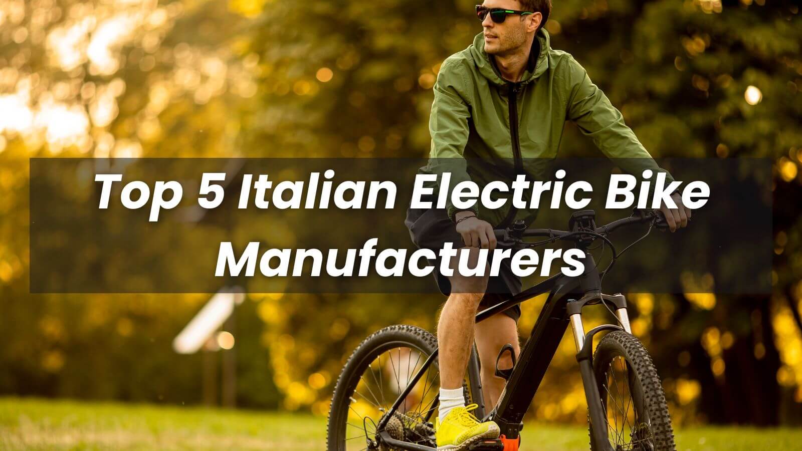 Electric sale bike brand